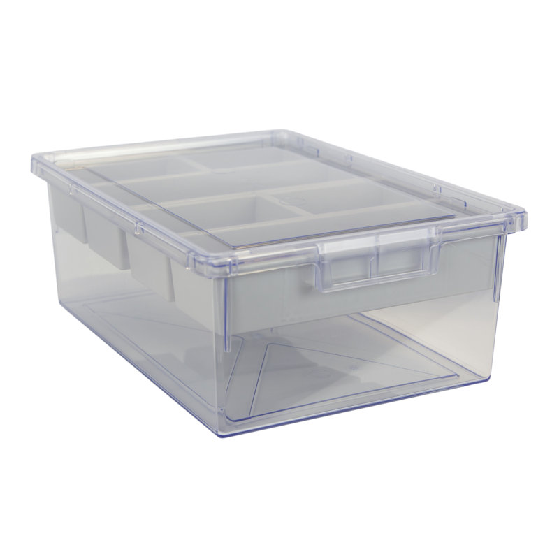 Rebrilliant Plastic Storage Tub & Tote, Crystal Clear
