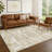 Machine Washable Indoor/Outdoor Chantille ACN2663 Casual Rug-817471344-817471352