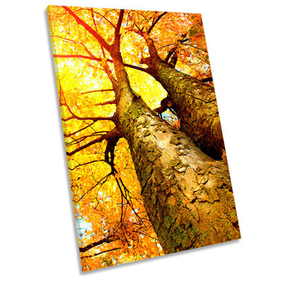 X0183 Forest Trees Autumn Sky - Wrapped Canvas Print
