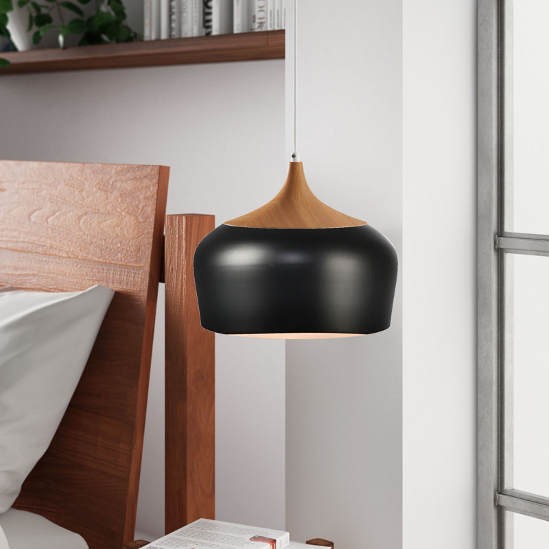 Reiner 1 - Light Single Pendant, Brown, Black