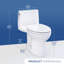 TOTO Ultramax One-Piece Elongated 1.28 GPF Universal Height Toilet with CEFIONTECT and SS114 SoftClose Seat, Sedona Beige - MS608114CEFG#12-603282351-603282345