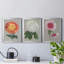 Chrysanthemum On Grey I - Ensemble de 3 peintures sur toile encadrées-1947944971-1947944968