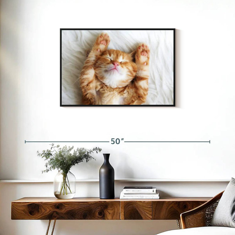 Sleepy Kitty, Cadre flottant noir, 31 po x 21 po