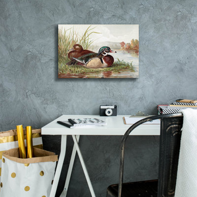 Toile épique «Resting Duck 2» par Stellar Design Studio, Epic Graffiti, 18 po x 12 po
