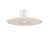 White/Light Beige