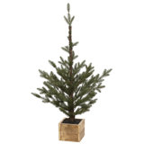 Pinetree In Box, Small - 36 Inches