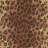 Altman Hand Hooked Wool Animal Print Rug-532095275