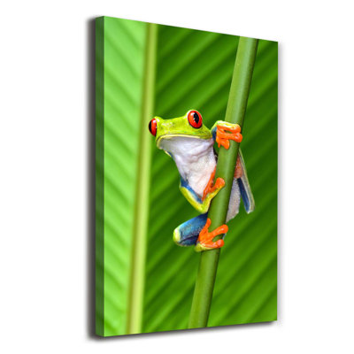 Tree Frog - Wrapped Canvas Print