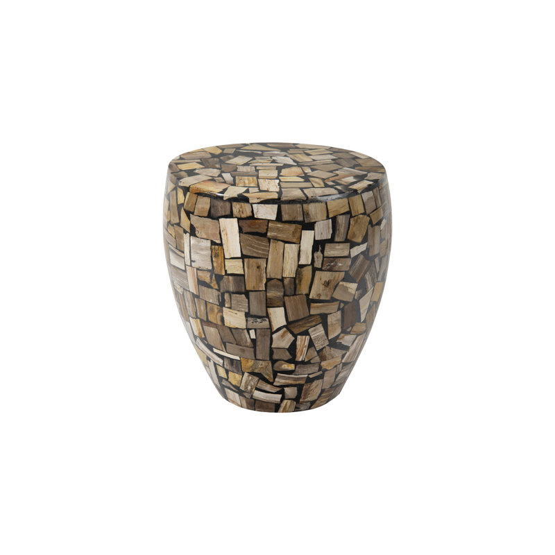 Petrified End Table