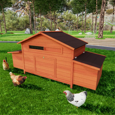 Grand poulailler en bois avec boîtes de nidification et protection des prédateurs sécurisée