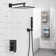 2 - Functions Pressure Balancing Shower Faucet with Rough-in Valve