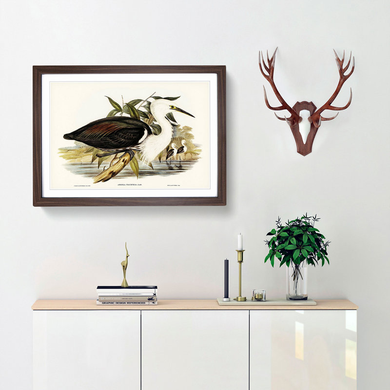 Pacific Herons by Elizabeth Gould - Framed Print, 27cm H x 36cm W x 2cm D, Walnut Framed