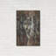 «Wood Land Spirit» par Collin Bogle-2082569079
