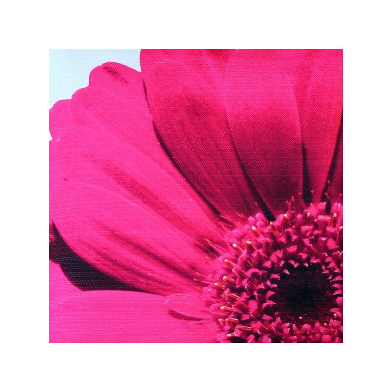 'Daisy Flower Indoor/Outdoor Throw Pillow, Pink