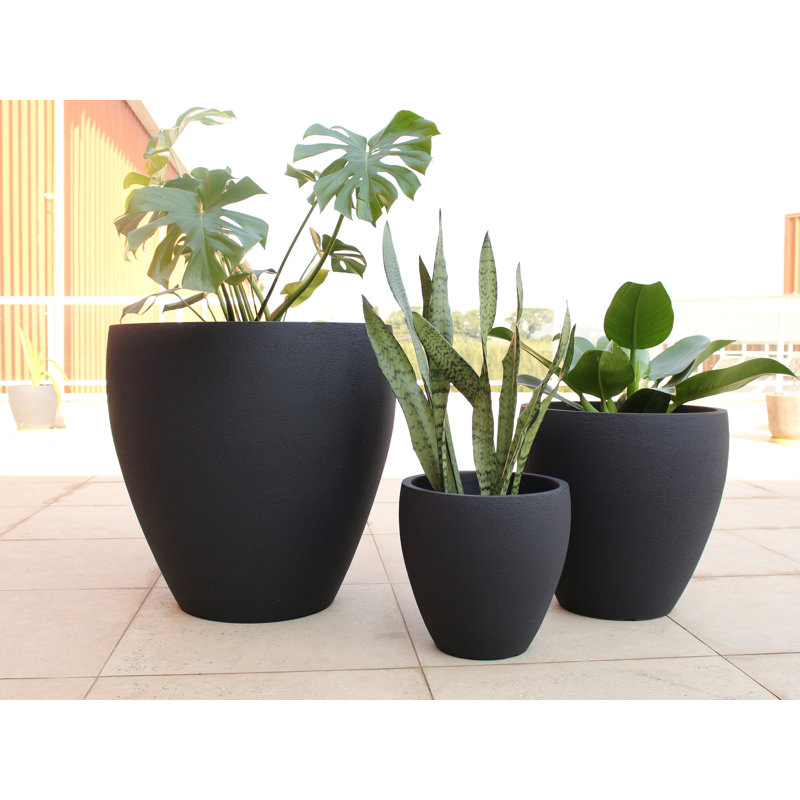 Ebern Designs - Rustic Ellipse Planter