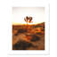 «Desert Dawn» par Joshua Earle - reproduction imprimée-93623225-93623258-93623268