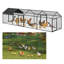 Walk In Chicken Run-1175137649