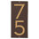 Floating Modern 6" Number Vertical Address Plaque Rectangle Wall Plaque
