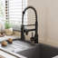 Belfry Kitchen Lippencott Pull Down Kitchen Faucet-171134447