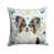 Papillon tricolore