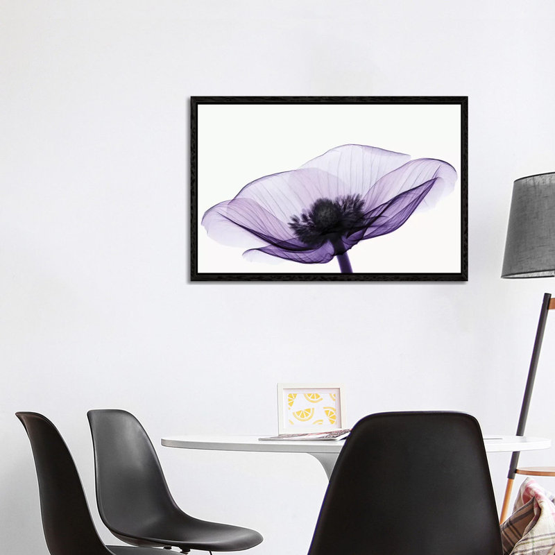 Anemone II - Print on Canvas, 66.04 cm H x 45.72 cm W x 4.445 cm D, Black Floater  Framed