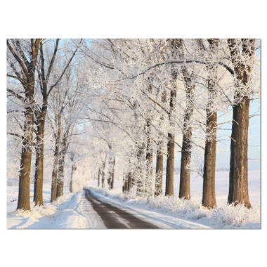 Rolen Winter Fir Coir 28 in. x 17 in. Outdoor Door Mat Millwood Pines