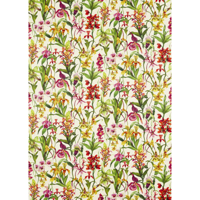 Kalina Fabric