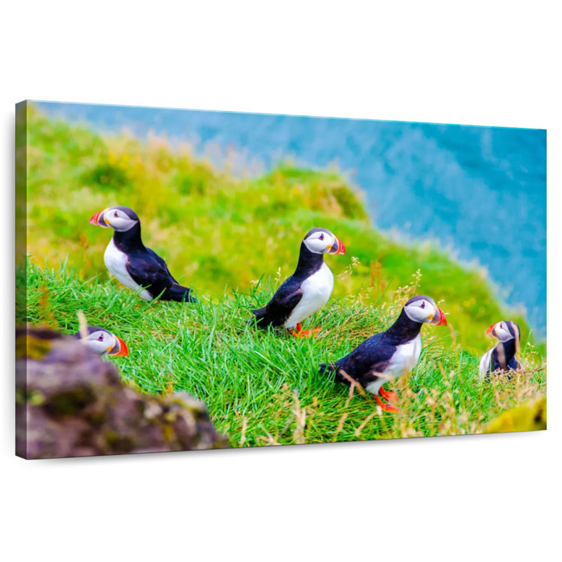 Puffins On Grass, 34" H x 51" W