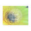 With All Your Heart Lime Flower 1 Piece Wrapped Canvas Wall Art-621041841