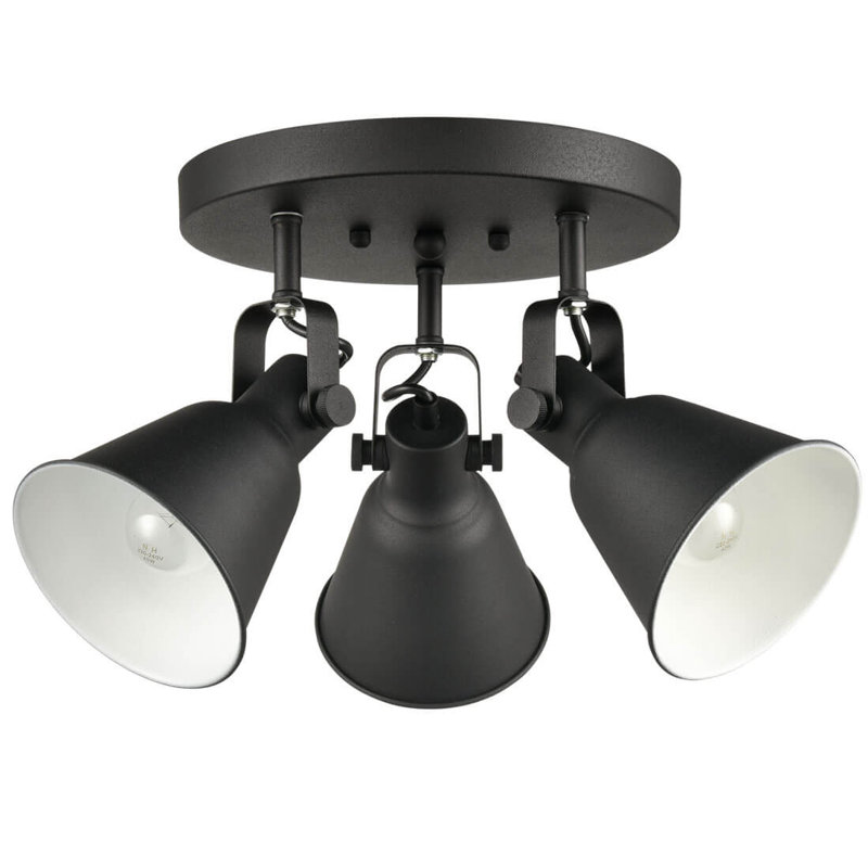 Ensemble de rail d'éclairage 9,8 po 3 lumières