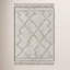 Hand Knotted Wool Moroccan Area Rug-1399909585