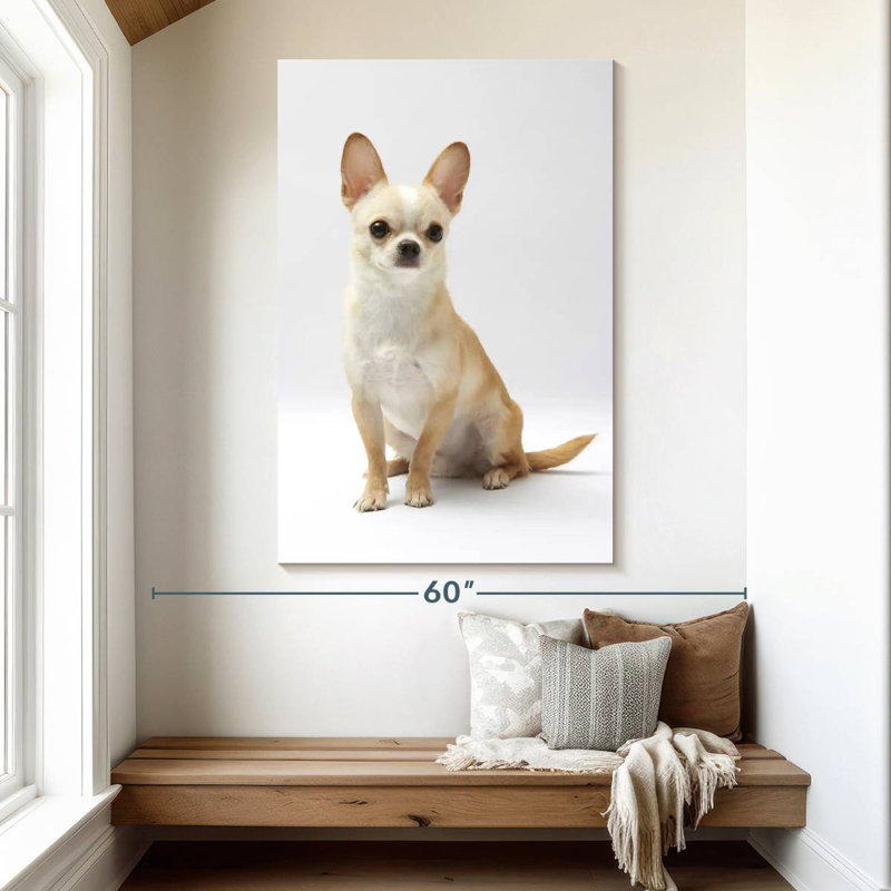 Brampt Seated Chihuahua, 51" H x 34" W