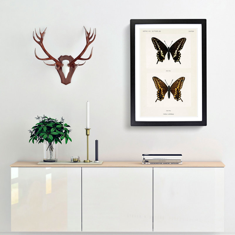 Black Swallowtail Butterfly by S.F. Denton - Picture Frame Graphic Art Print, 36cm H x 27cm W x 2cm D, Black Framed