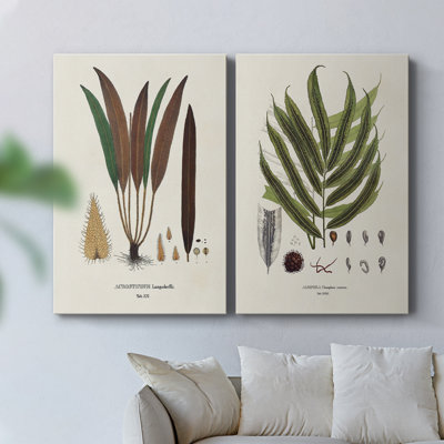 «Botanical Society Ferns I», toile tendue avec châssis - Prêt à accrocher