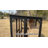 Outdoor Cat Catio 71.1"L Walk-in Large Solid Wood Cat House Condo Playpen With Platform Cat Enclosure