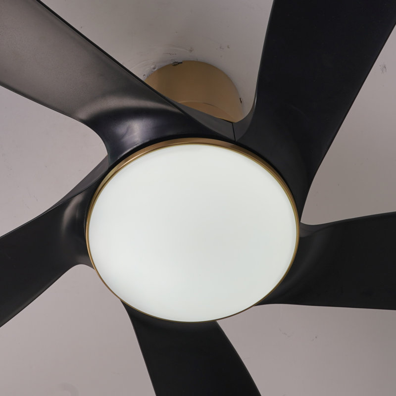 Lileah 5 - Blade LED Standard Ceiling Fan with Remote Control and Light Kit Included, Gold with Black Blades