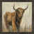 Chocolate Distressed Framed selected