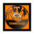 NCAA Tennessee