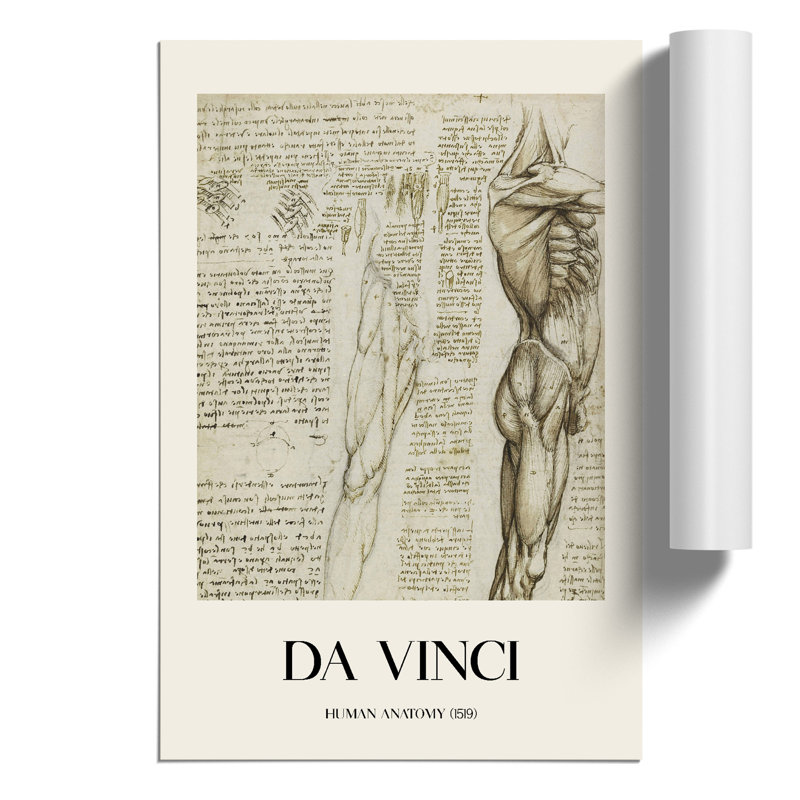 Human Anatomy Print by Leonardo da Vinci - Frameless Print, 42cm H x 30cm W x 0.1cm D
