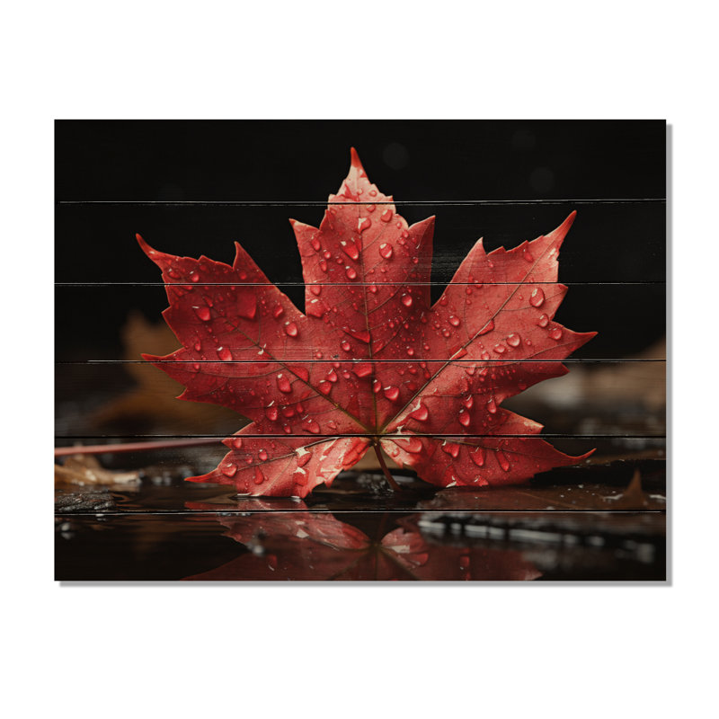 Canada Canada, fierté canadienne III sur bois, H 10 po x l 20 po x P 0,78 po