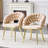 Velvet Dining Chairs-910453509-910453510