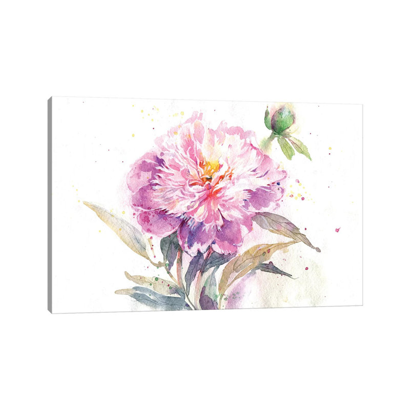 Pion 1 Piece Wrapped Canvas Wall Art, 30.48 cm H x 45.72 cm W
