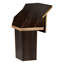 Xenon Writing Desk