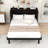 Queen Wood Murphy Bed with Power Station and Storage Drawer-309813101