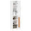 Storage Cabinet