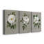 Botanical Magnolia - ensemble de 3 reproductions sur toiles tendues-1764003211
