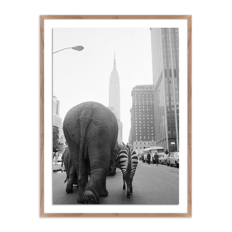 Circus Animals 33Rd St Print by Getty Images, 32" H  x  24" W x 1.5"D, Dark Brown Framed