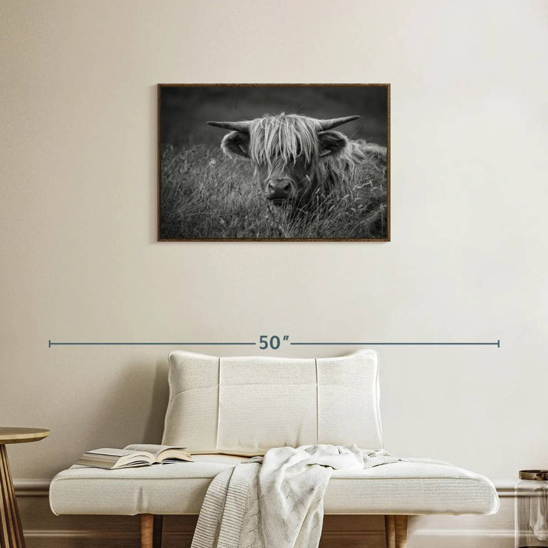 Île de Skye, Highland Catt BW, Cadre flottant noyer, 31 po x 21 po