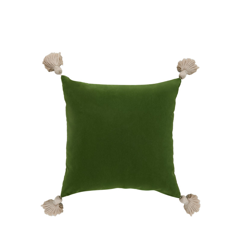 Polyester Indoor/Outdoor Throw Pillow, Green, Square 22"