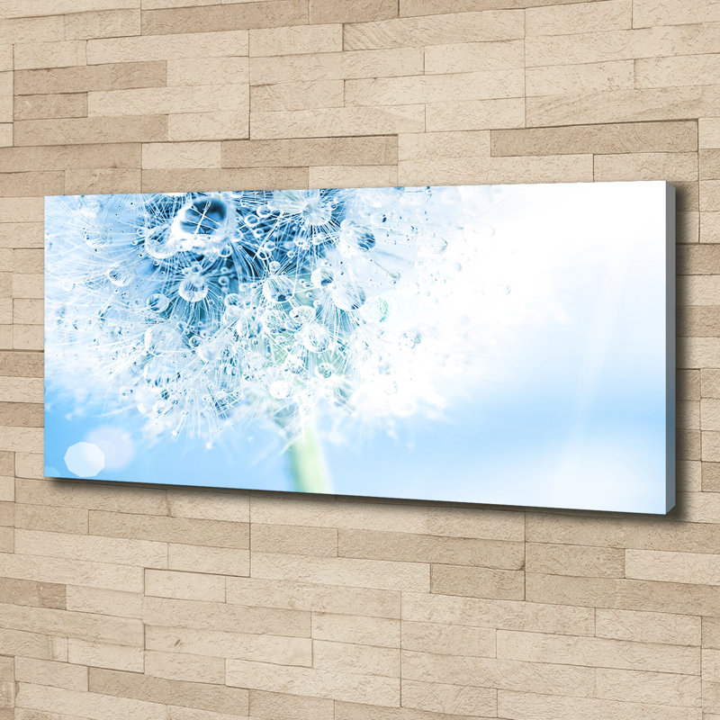 Dandelion - Wrapped Canvas Print